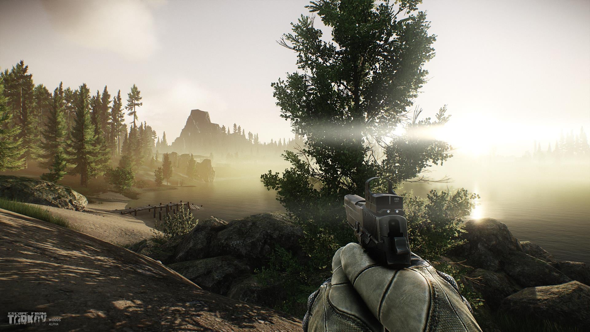 Escape from Tarkov new screens show the Forest VG247